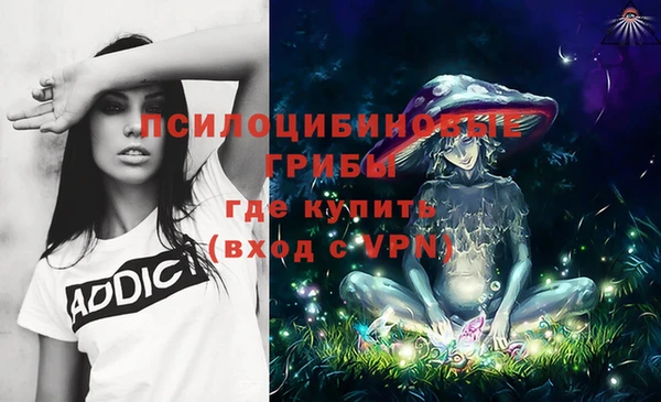 не бодяженный Володарск