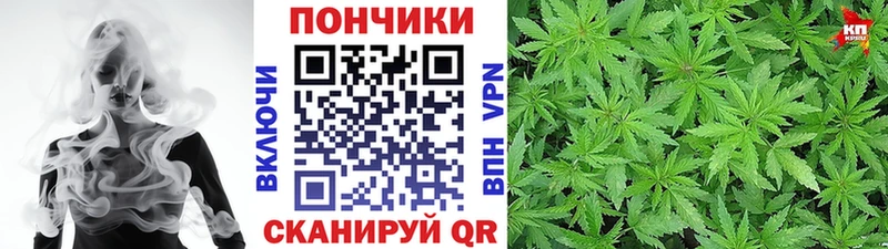 Бошки марихуана OG Kush Комсомольск-на-Амуре